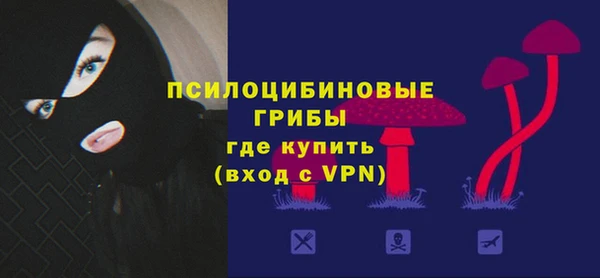 твердый Алексеевка